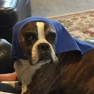 Meet your Posher, Patti